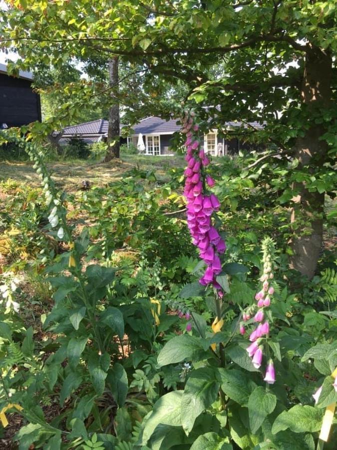 Backahusets B&B Höör 外观 照片